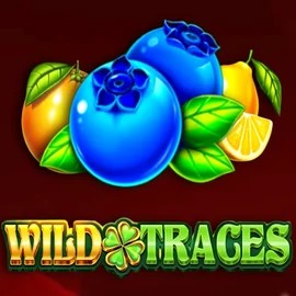 Wild Traces slot visual from Amusnet Interactive available on slotaacasino.com